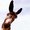 Photo of Qype User (Goldes…)