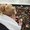 Photo of Cityvox User (candii…)