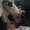 Photo of Kendyll S.