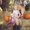Photo of Karie N.