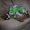 Photo of Qype User (greens…)