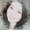 Photo of Christina H.