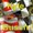 Photo of Diana W.