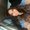 Photo of Felly K.