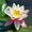 Photo of Yorba Linda Realtor L.