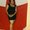 Photo of Levonna S.