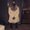 Photo of Micah P.