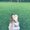 Photo of Krissy G.