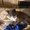 Photo of Jacki P.
