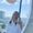 Photo of Staci M.