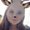 Photo of Megan S.