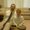Photo of Shadd L.