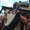 Photo of Qype User (booboo…)