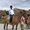 Photo of Qype User (Deva…)