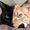 Photo of Garri W.