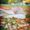 Photo of Tania L.