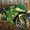 Photo of Zx-10R C.