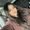 Photo of Karina A.