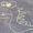 Photo of Forest B.