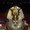 Photo of Qype User (juhu19…)