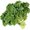 Photo of Kale O.