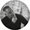 Photo of Nino S.
