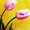 Photo of Andoria G.