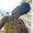Photo of Jenneisha C.
