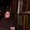Photo of Kimberly B.