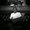Photo of Tyler B.