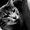 Photo of Leaha L.