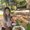 Photo of Shirleen H.