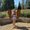 Photo of Samantha H.