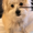 Photo of Lulu B.