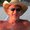Photo of Mark C.