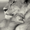 Photo of Candi H.