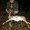 Photo of Josue N.
