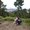 Photo of Farideh A.