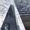 Photo of Dan R.