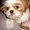 Photo of Chloe A.