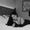 Photo of Cat N.