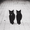 Photo of S. L.