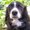 Photo of Qype User (pitoun…)
