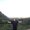 Photo of Noah S.