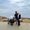 Photo of Fawaz H.