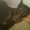 Photo of Eliana S.