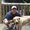 Photo of Steve J.
