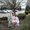 Photo of Kristy V.