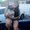 Photo of Angie M.