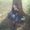 Photo of Jaimie T.